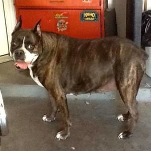 Meet your Posher, Jim